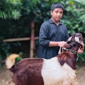 Adittya Dey's profile